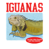 Iguana Reptile Lizard Iguanas Gift