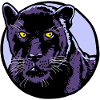 Panther
