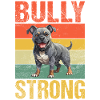 Cadeaux American Bully