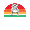 Cadeaux American Bully