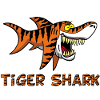 Tiger shark