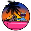 Cool for Cats