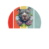 Cadeaux American Bully