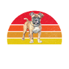 Cadeaux American Bully