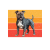 Cadeaux American Bully