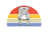 Cadeaux American Bully