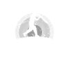 I'd rather play cricket