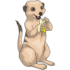 Meerkat Banana