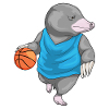 Taupe Basketteur Basketteur