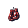 Boxer boxing