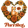 Purrfect