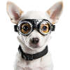Goggle