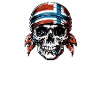 Skull Rockn Roll Norway