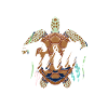 Turtle Sea Turtle Gift