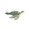 Turtle Sea Turtle Gift