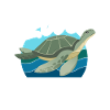 Turtle Sea Turtle Gift