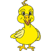 Yellow duckling