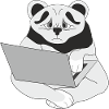 Panda with laptop