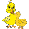Two yellow ducklings