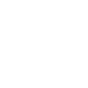 Parrot Bird