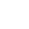 Metal detector