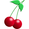 Twin cherries with leaves