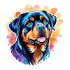 Aquarelles Rottweiler