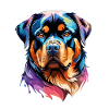 Aquarelles Rottweiler