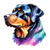 Aquarelles Rottweiler