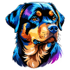 Aquarelles Rottweiler