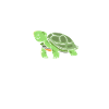 Turtle Sea Turtle Gift