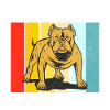 American Bully Gifts
