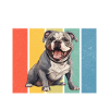 Cadeaux American Bully