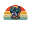 Cadeaux American Bully