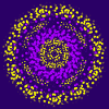 cercle jaune et violet