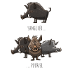 Sanglier Pluriel
