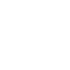 Drone Whisperer Funny Flyer