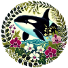 Orca