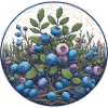 Blueberries