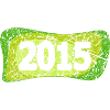 2015 2015
