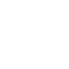 Year 1996
