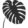Monstera Leaf