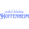 Hoffenheim remain stable