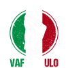 Italy Italian Vaffanculo