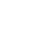 Auditing