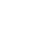 Bus Driver