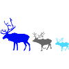 Deer Family