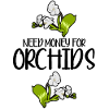 Fiori di orchidea Orchidee Phalaenopsis