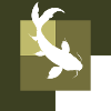 Pêcheur de poissons Koi