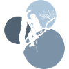 Climbing Monkey Equipment